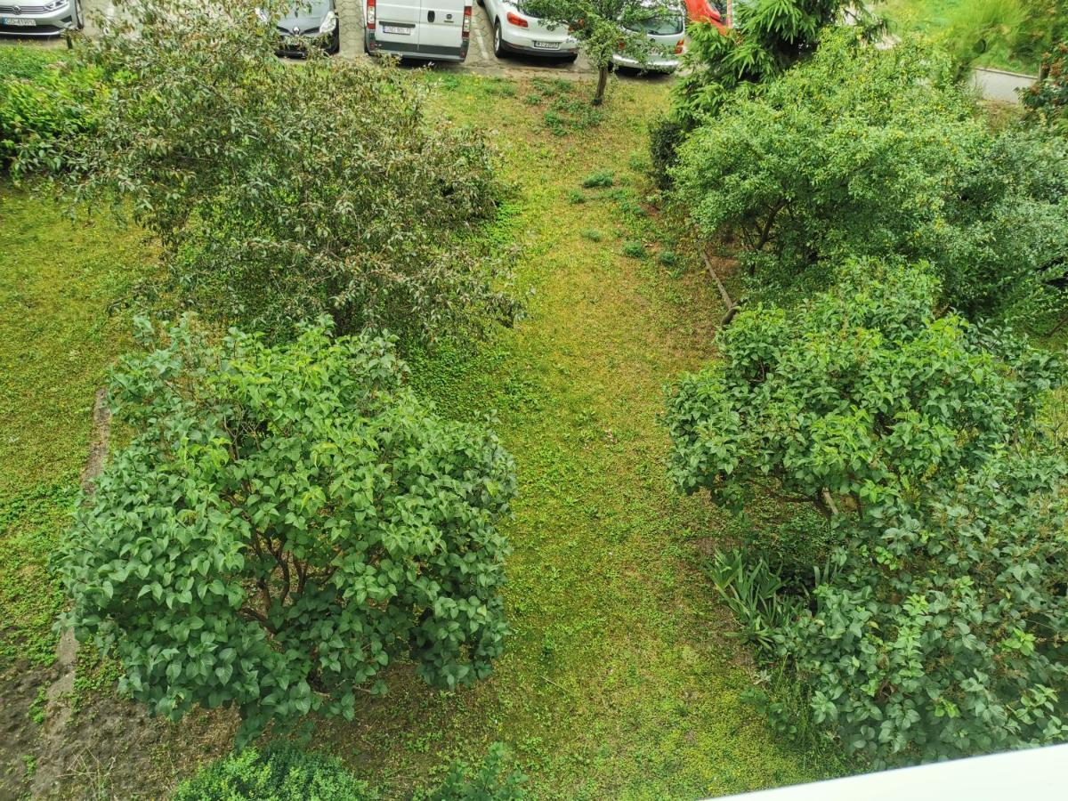 그단스크 Apartament Wiewiorka 아파트 외부 사진