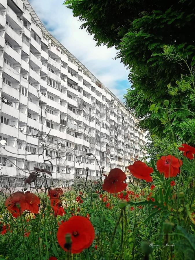 그단스크 Apartament Wiewiorka 아파트 외부 사진
